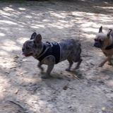 Nelly und Alpha